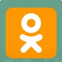 odnoklassniki账号购买出售批发安全耐用抗封24h自动发货{1组10个账号}